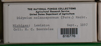 Image Associated With the Occurence